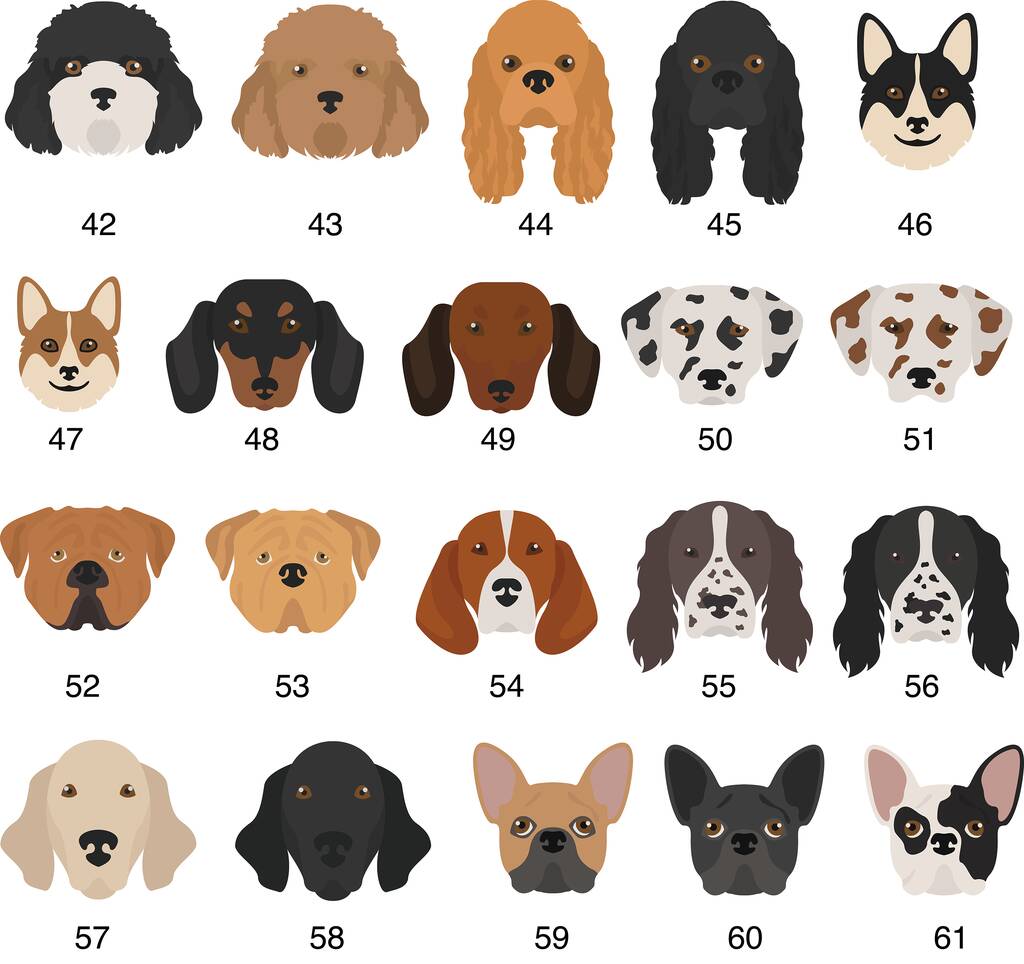 Oakdene Designs Pet Products Personalised Dog Lead Hook Oakdene Designs Pet Products Personalised Dog Lead Hook