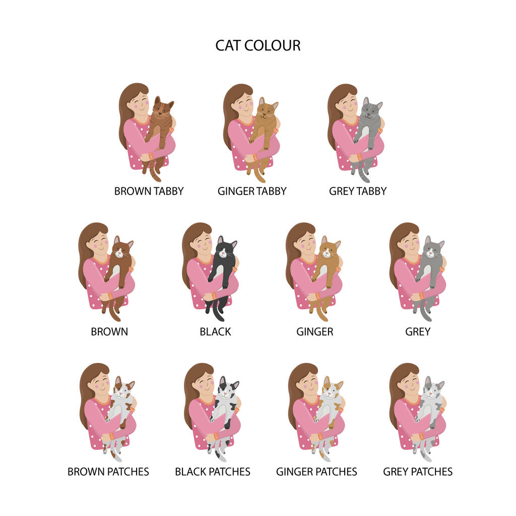 Oakdene Designs Mugs Personalised Crazy Cat Lady Mug