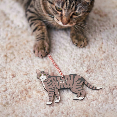 Personalised Cat Christmas Decoration