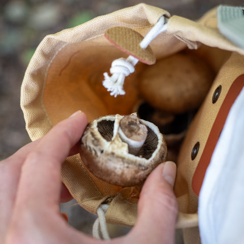 Personalised Outdoor Foraging Pouch And Notebook