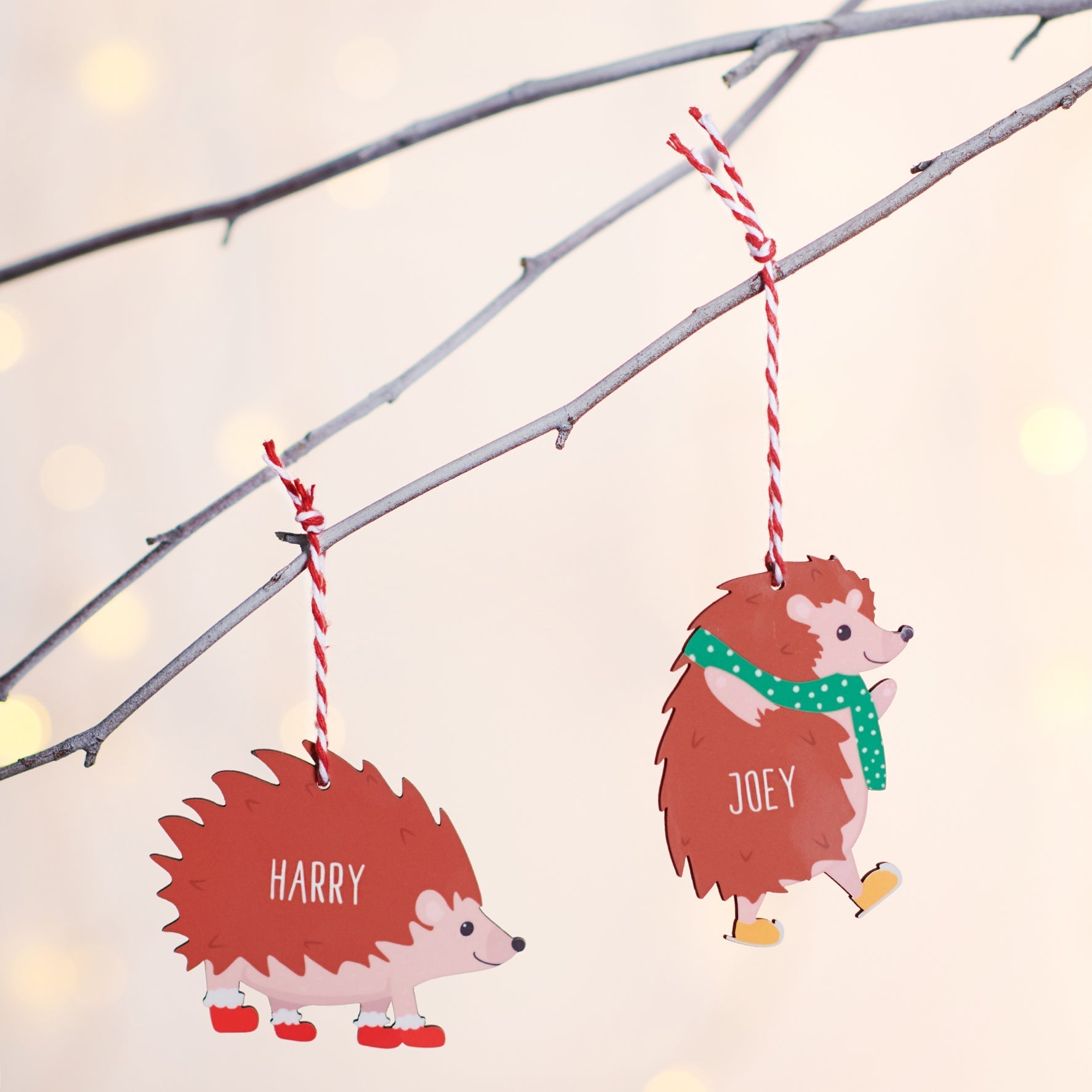 Oakdene Designs Christmas Decorations Personalised Hedgehog Family Decoration