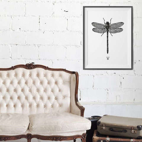 Oakdene Designs Prints 'Vintage Dragonfly Illustration' Print