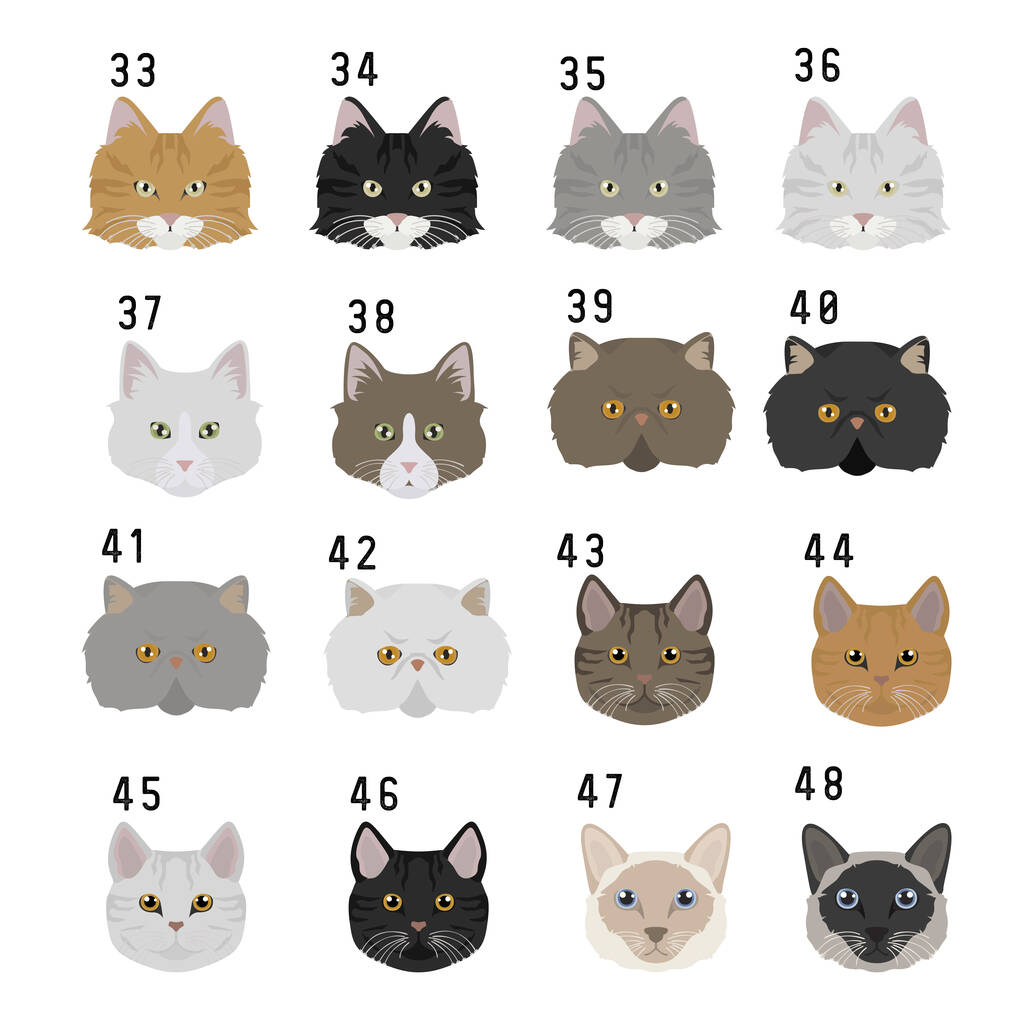 Oakdene Designs Clothing Personalised Cat Breed Jumper