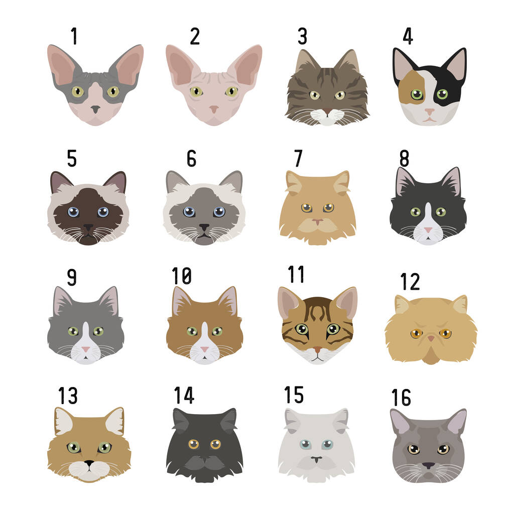 Oakdene Designs Keepsakes & Tokens Personalised Cat Breed Wooden Puzzle