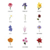 Oakdene Designs Mugs Personalised Birth Flower Mug