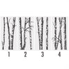 Silver Birch Trees Vinyl Wall Sticker - Oakdene Designs - 4