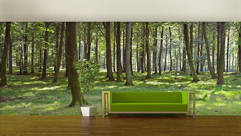 Woodland Forest Self Adhesive Wallpaper - Oakdene Designs - 2