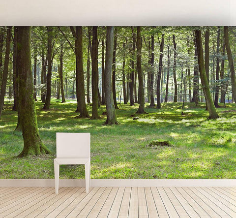 Woodland Forest Self Adhesive Wallpaper - Oakdene Designs - 1
